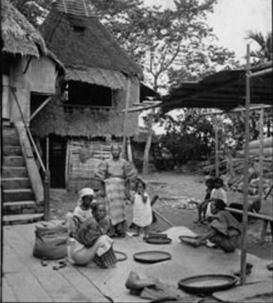 Early Filipino women hand-winnowing rice at the backyard of a traditional house.
